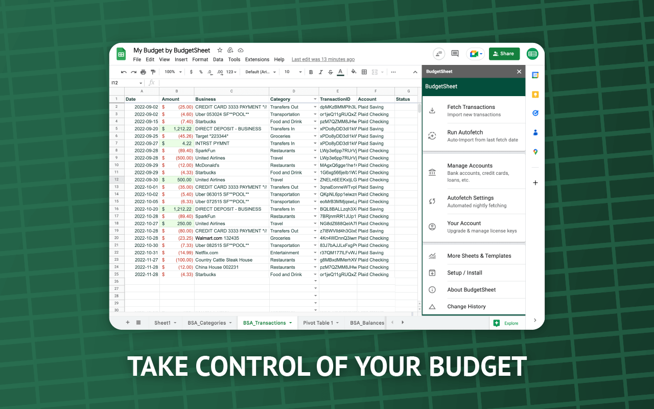 BudgetSheet Screenshot