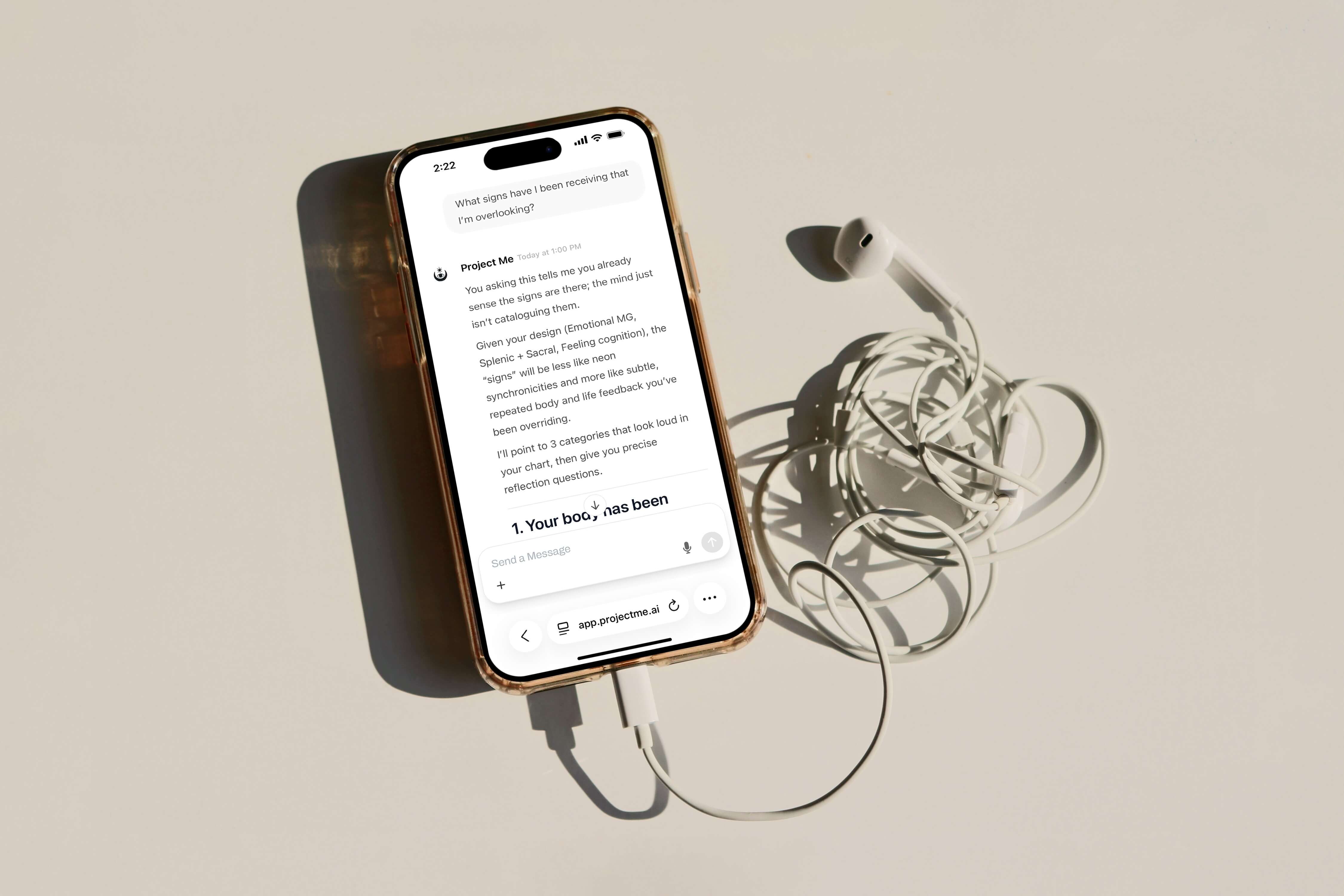 Project Me Screenshot