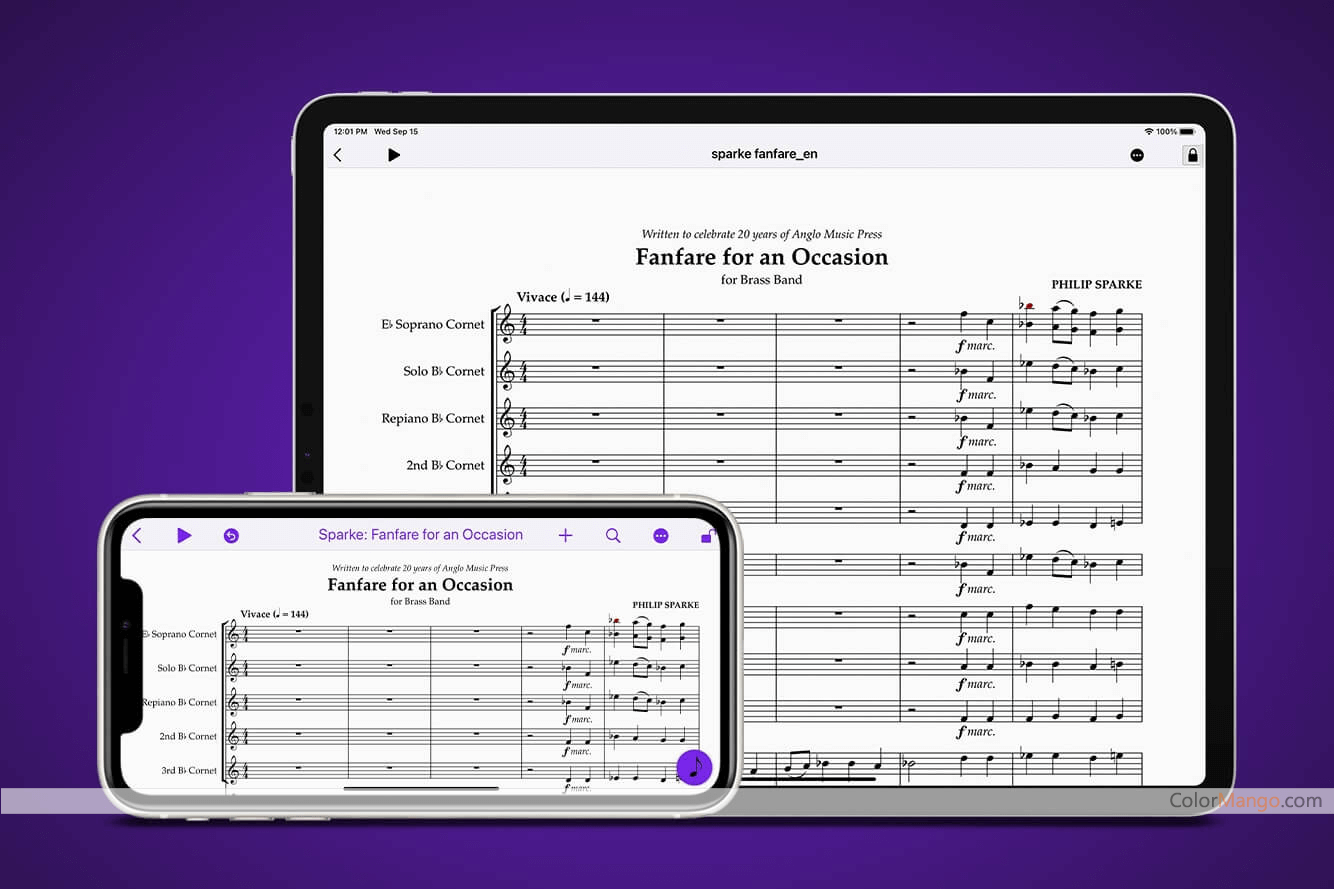 Sibelius Artist Screenshot