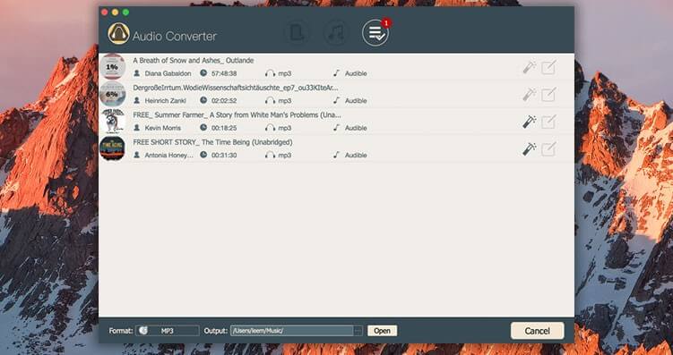 ViWizard Audio Converter Screenshot