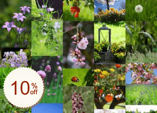 Masonry Gallery Discount Coupon Code