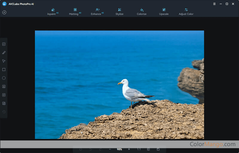 AVCLabs PhotoPro AI Discount Coupon Code