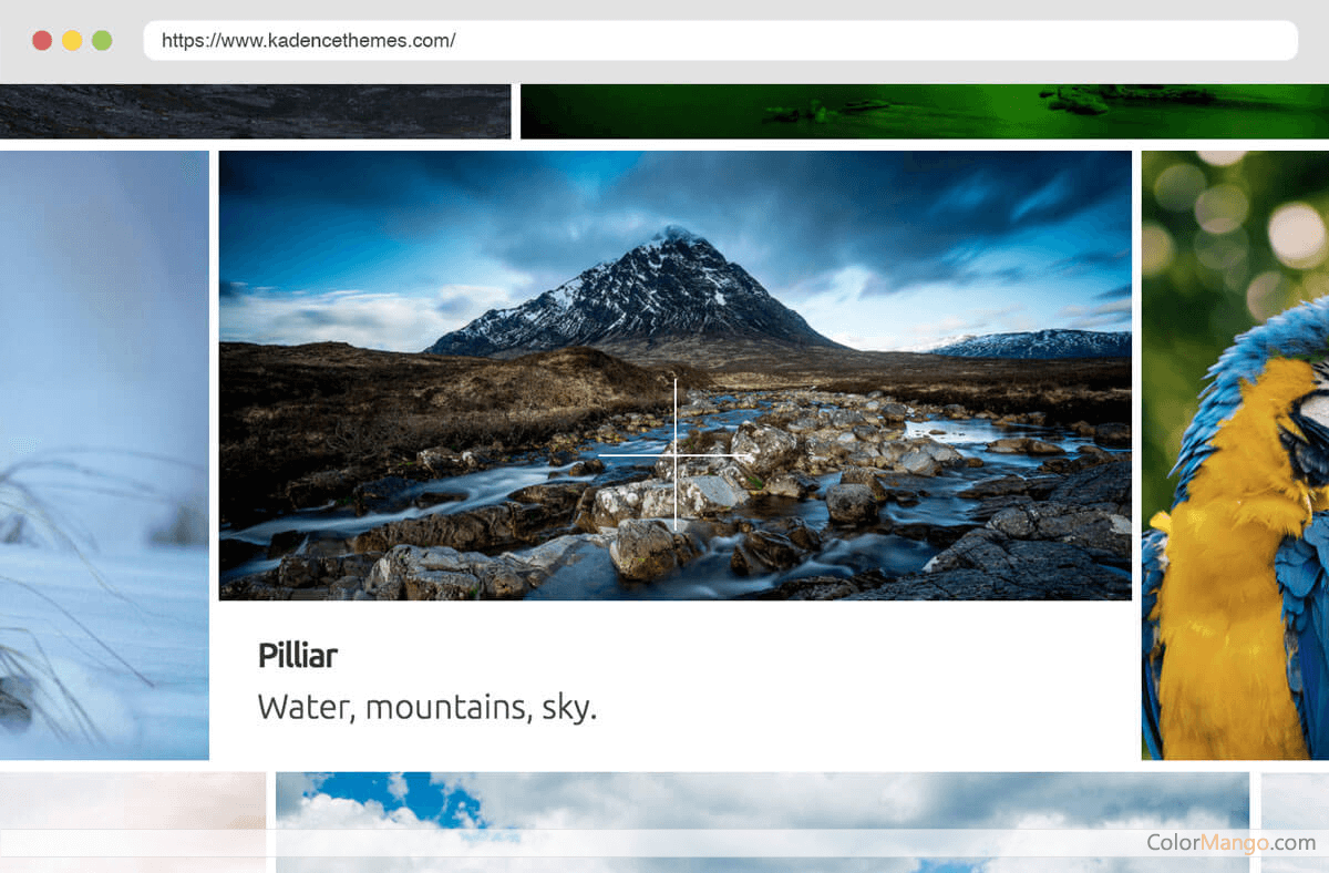 Kadence Galleries Screenshot