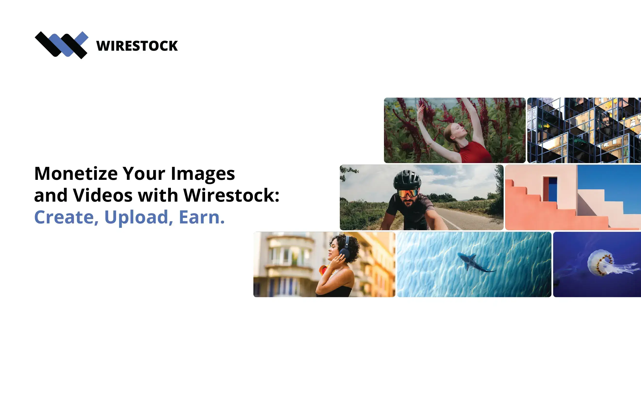 Wirestock Discount Coupon Code