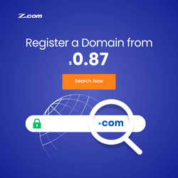 Z.com Screenshot