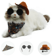 MetaCat