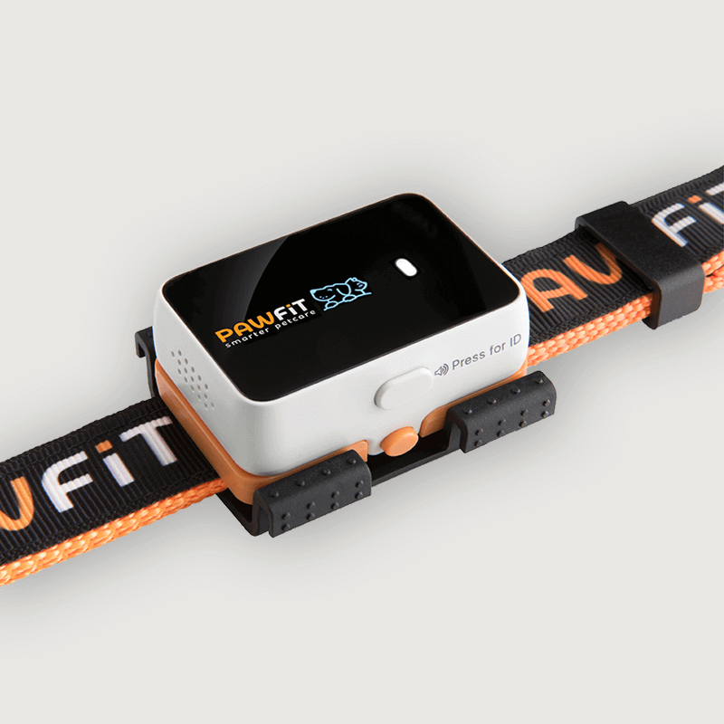 Pawfit Pet Tracker Screenshot