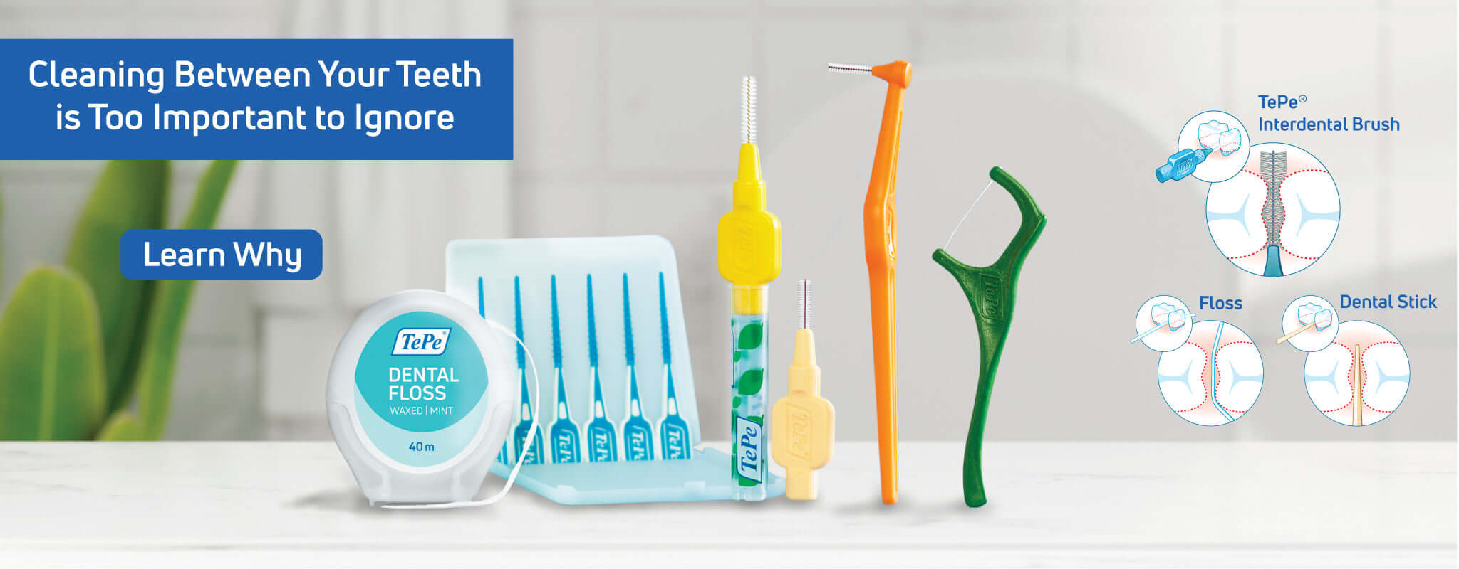TePe Oral Health Care Screenshot