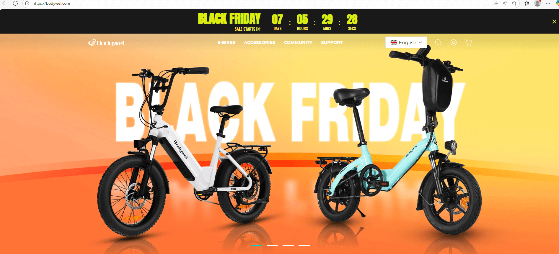 Bodywel ebike boxshot