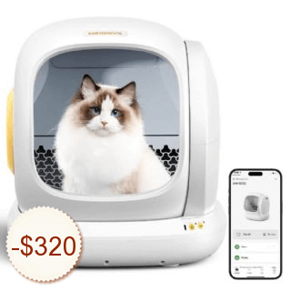 MeoWant Discount Coupon Code