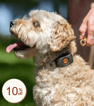 PitPat Discount Coupon Code