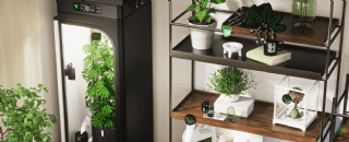 Vivosun Discount Coupon Code