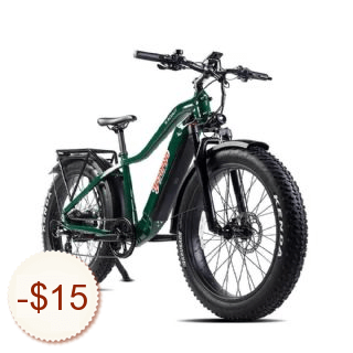 Young Electric Bike Discount Coupon Code