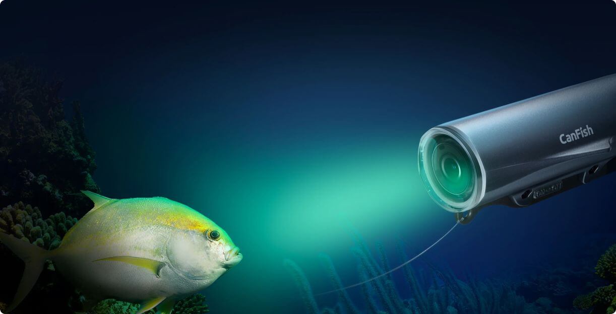 CanFish Screenshot