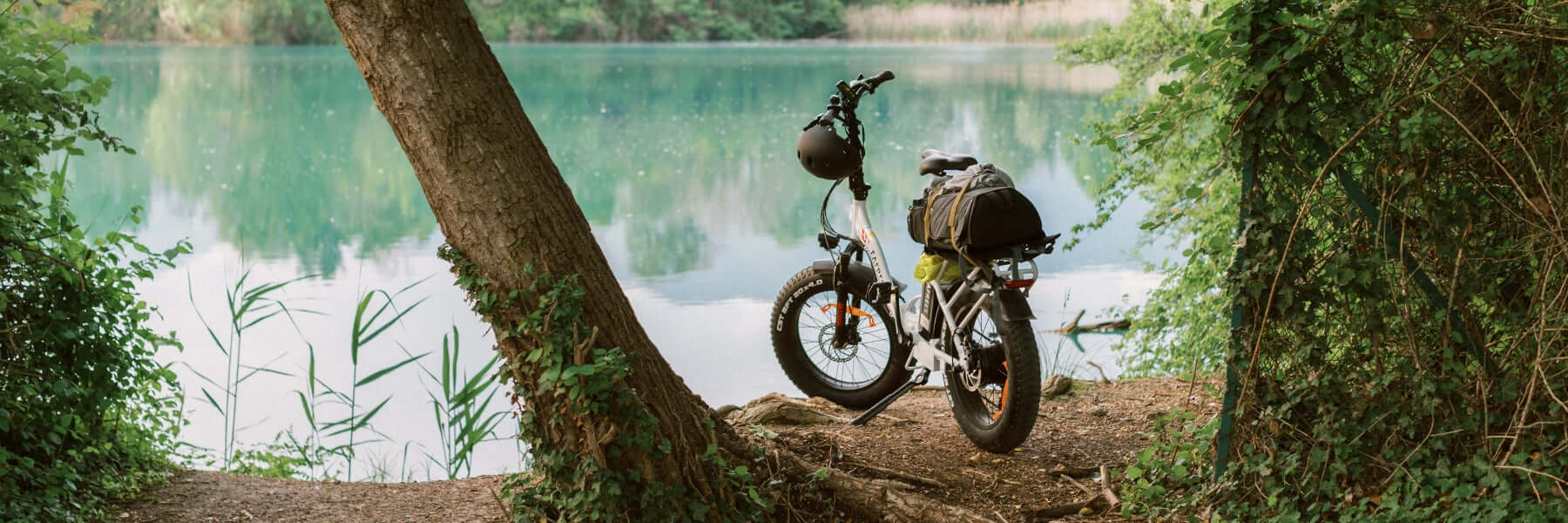 Farfrees Ebike Screenshot