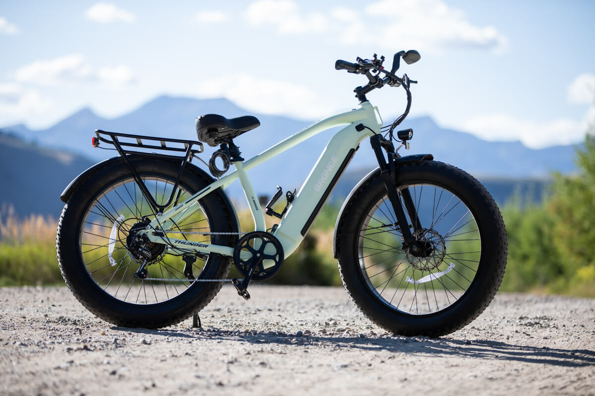 Qronge Ebike Screenshot