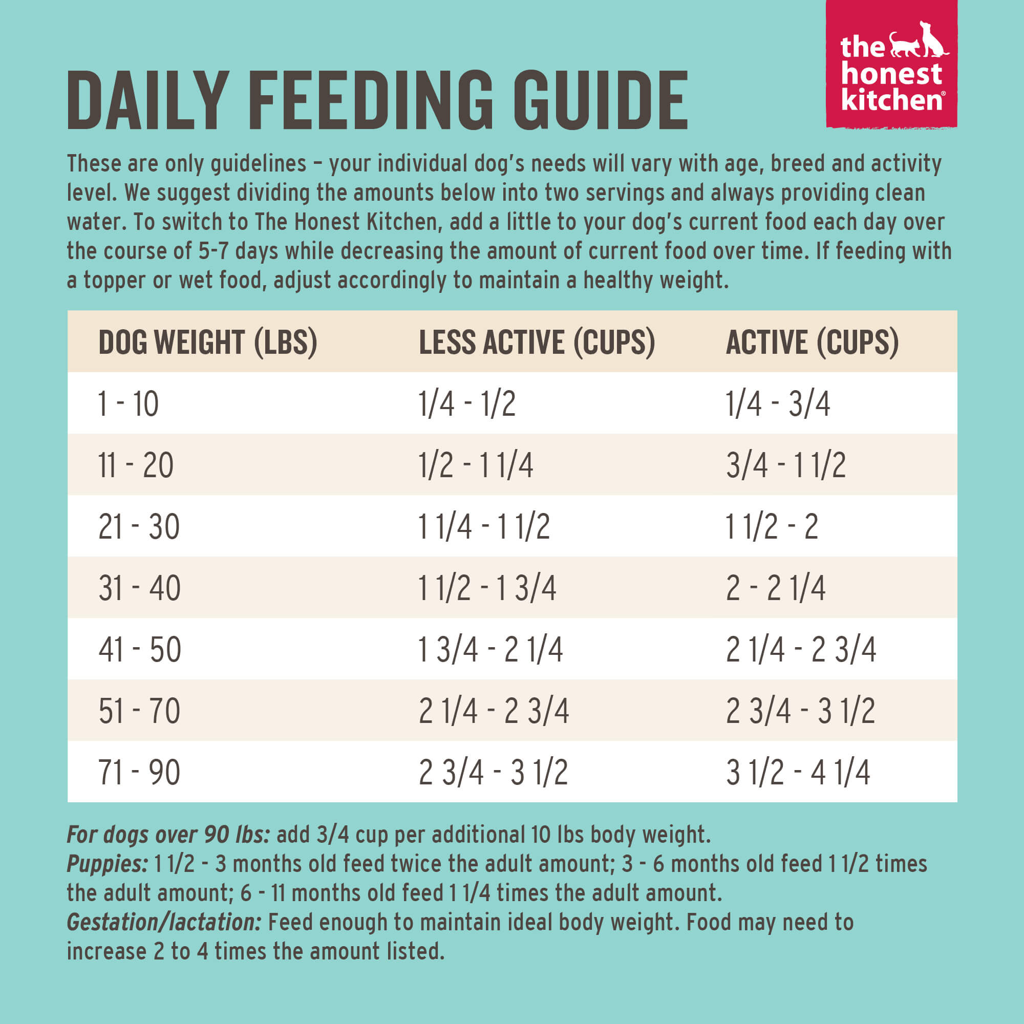 The Honest Kitchen Screenshot