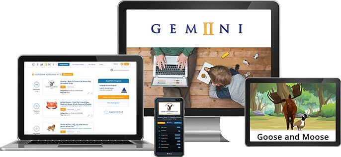 Gemiini Systems Screenshot