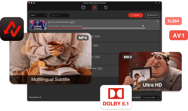 ViWizard Netflix Video Downloader Screenshot
