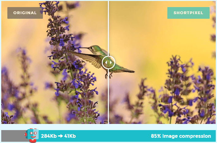 ShortPixel Screenshot